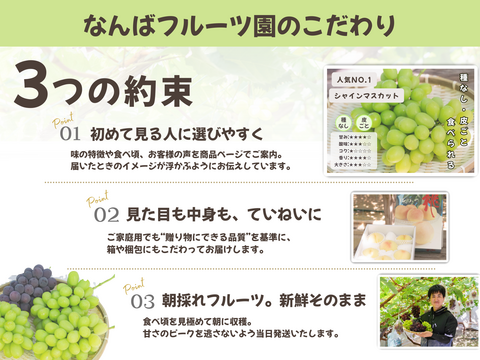 お盆シーズンにお届け可能　シャインマスカット入り　『岡山県産ぶどう』　おまかせ3種食べ比べセット　1.5キロ以上