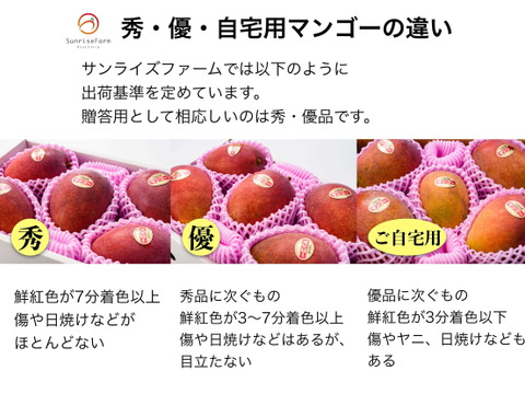 【順次発送中】サンライズファームのアップルマンゴー 【秀品】【2kg】