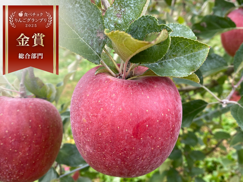 🏆りんごGP金賞受賞🏆【サステナりんご】信州安曇野産サンふじ家庭用5キロ（10〜20玉）🍎 ※化学合成農薬約60%削減