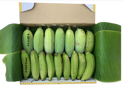 【特別価格！】ナムワ＆ブラジルバナナ計１kg
