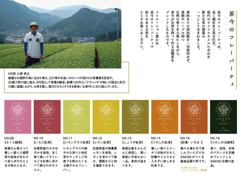2019日本茶AWARD受賞✨創業122年　究極のうれしの茶10種緑茶セット