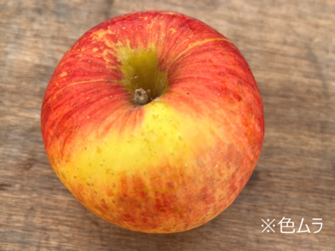 【訳あり】【希少種】【蔵出し奥州ロマン】（2kg・10個入り）パリ甘・ジューシーお得な家庭用