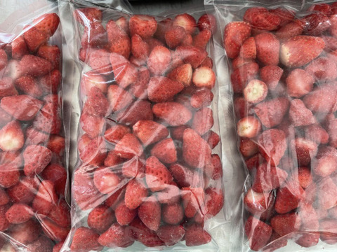 【いちご農家直送】冷凍いちご1kg 小分け500g×2袋｜ジャム用・スムージー用・かき氷・いちごミルクに最適