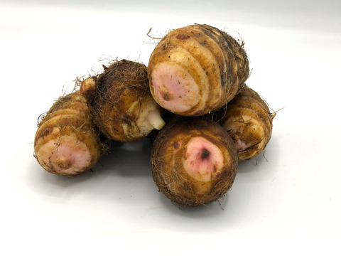 ヌメリはやや控えめでホクホクした食感のサトイモ『赤芽大吉』400g×3袋