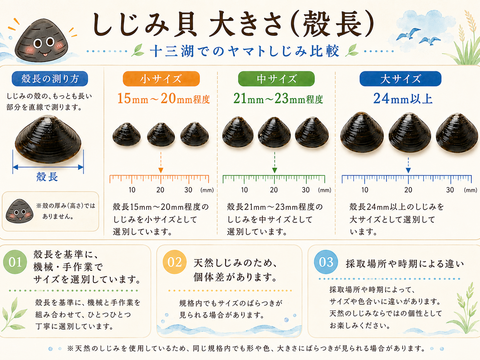 数量限定 （3kg)

食べチョク登録記念！
冷凍品『とれたて新鮮しじみをすばやく冷凍』十三湖産大和しじみ（砂抜き済み）　中サイズ500ｇ×6Ｐ