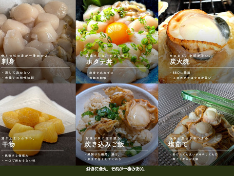 これが本物！漁師が喰うホタテ【５㎏】ヘラ付