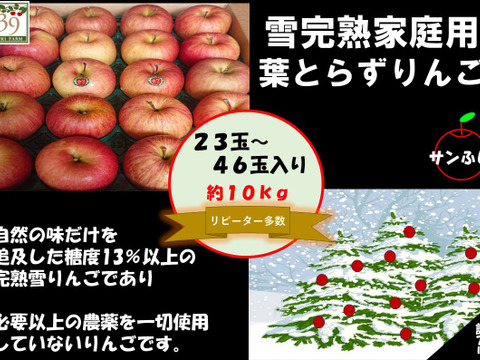 青森県産りんご  糖度13%保証 雪完熟自然葉とらずサンふじ10kg 家庭用