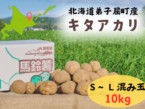 北海道の『キタアカリ』！（10ｋｇ）