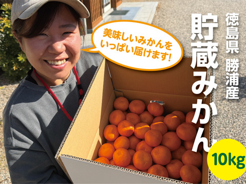 今が食べ頃♫　勝浦産 貯蔵みかん（ご家庭用）10kg｜徳島県勝浦町