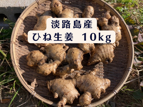 専用出品　農薬不使用　ひね生姜10kg 淡路島が育んだ体と心のスパイス！】愛情込めた自社農園のひね生姜 10