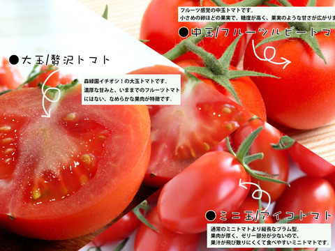 宮崎県産　トマト３種食べ比べセット２kg