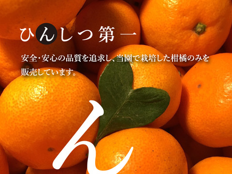 【高級柑橘】デコ（不知火）5㎏