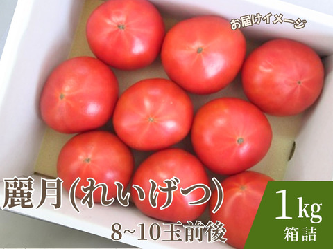 【糖度8.5度以上】極甘スーパー麗月1ｋｇ