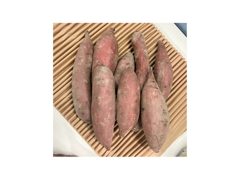 ねっとり熟成密芋！！約２ヵ月以上追熟済み！シルクスウィート（約５kg）