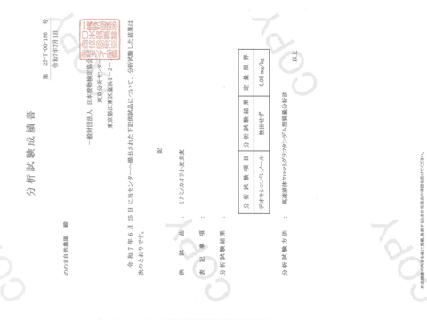 〈メール便〉生命力溢れる 小麦全粒粉 450g×2袋【無肥料・栽培期間中農薬不使用 自然栽培 天日干し】