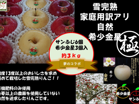 青森りんご  大人気　希少コラボ 高評価の為味に自信あり！！果汁タップリ！！りんごの香りタップリ！！
 （極みサンフジ雪完熟りんごと希少金星ミックス）
3kg9個〜11個入り