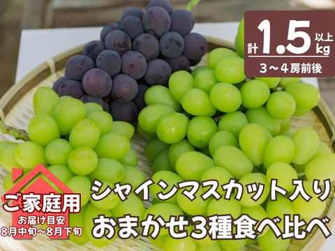 お盆シーズンにお届け可能　シャインマスカット入り　『岡山県産ぶどう』　おまかせ3種食べ比べセット　1.5キロ以上