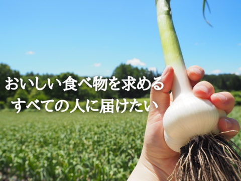 【先行予約】青森県田子町産にんにく1kg【限定販売】