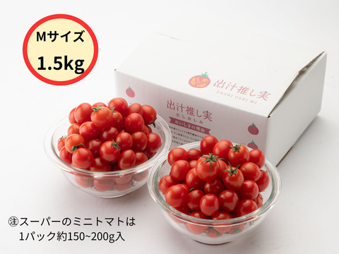 ★定期便でお得な8％引★手が止まらない！超濃厚ミニトマト☆子供のおやつに大人気☆　家庭用　薄皮プチトマト　鮮度抜群　農家直送　1.5kg　甘いより旨い　出汁推し実