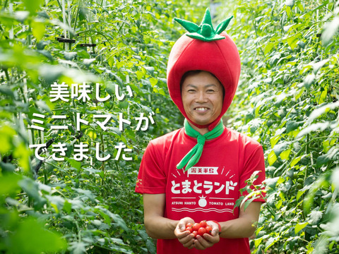 【新生活応援セール10％off】お菓子の代わりに♪超濃厚ミニトマト・プチトマト　2.0kg