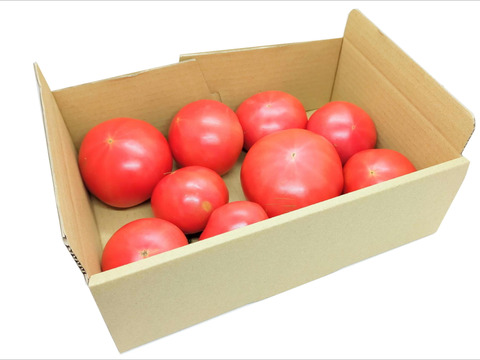 【お徳用無選別】《超おいしい》旨味の強い大玉トマト（1～1.3kg）簡易包装　ギフト包装不可