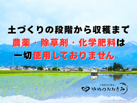 【新米】【数量限定】令和７年安曇野産オーガニック米【有機JAS取得】味わいあっさり！食感もっちり！やめのおおきみ（風さやか）玄米５㎏