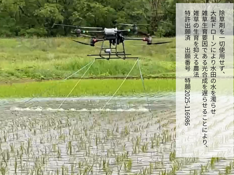 【令和７年産】栽培期間中農薬不使用　コシヒカリ　玄米　3kg　贈答用