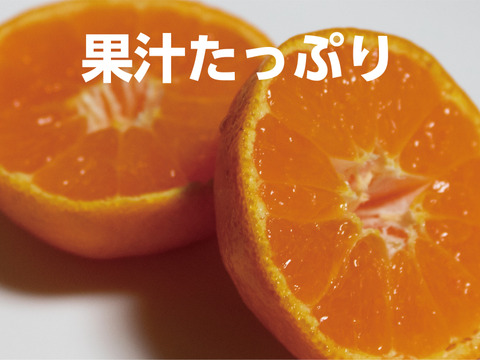 今が食べ頃♫　勝浦産 貯蔵みかん（ご家庭用）10kg｜徳島県勝浦町