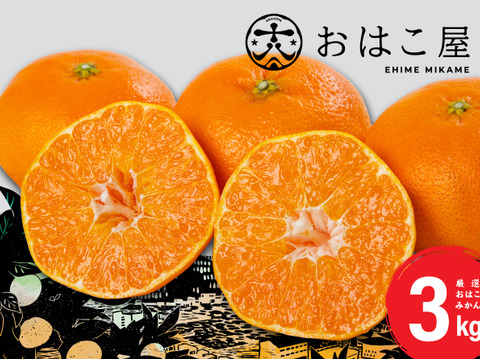 『大人気商品』おはこやのおはこみかん  3㎏