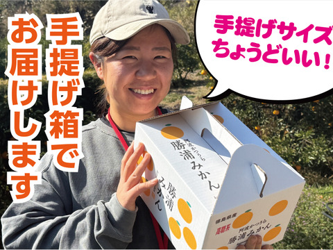 【手土産にも】勝浦産 貯蔵みかん（家庭用）3kg｜徳島県勝浦町