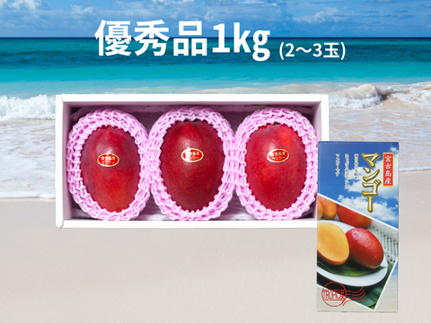 【優秀品】人気！宮古島産完熟マンゴー1㎏(2～3玉)　贈答品、夏ギフトに!