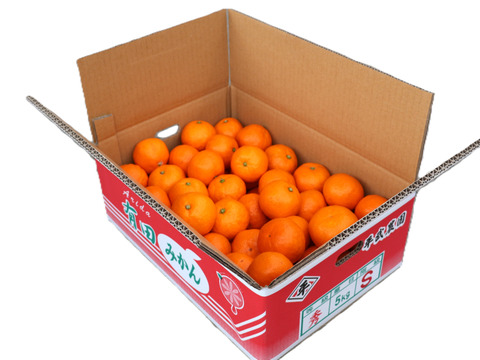 【冬ギフト】農家直送！有田みかん5kg≪Sサイズ 秀品≫【平武農園】～蛍飛ぶ町から旬の便り～　和歌山｜有田｜田口｜ギフト｜こだわり　産地直送　お取り寄せ