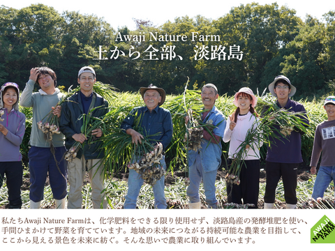 【淡路島産】冬ギフト_旬の冬野菜セット！ 6~7種詰め合わせ