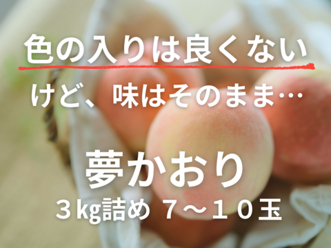 10％OFF】～色の入りが良くない為～ 9月の桃 夢かおり 3㎏詰め 7