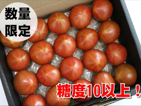 【糖度10度以上】最高ランク！プレミアム麗月