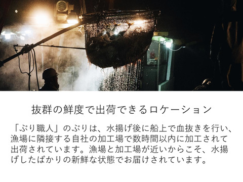 【鹿児島産ぶり】約2.2kg 冷凍・ぶり１尾セット（皮無ロイン1.8kg、カマ2p）