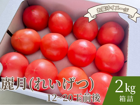 【糖度8.5度以上】極甘スーパー麗月2ｋｇ