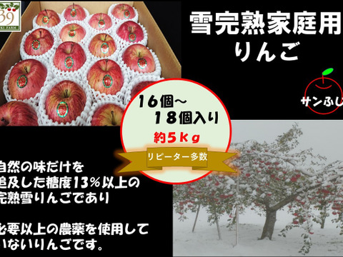 青森県産りんご 大人気 糖度１３%以上保証「リピート多数」雪完熟家庭用サンふじ５Kg１６個入