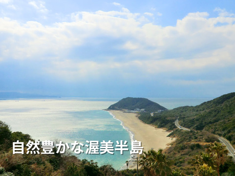 【12月発送】☆初めての方限定☆少量お試し☆超濃厚ミニトマト　400g　家庭用　
プチトマト