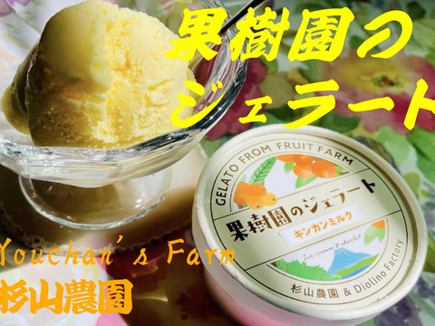 果樹園のジェラート『夏にさっぱりシャーベットおすすめセット』６個入り