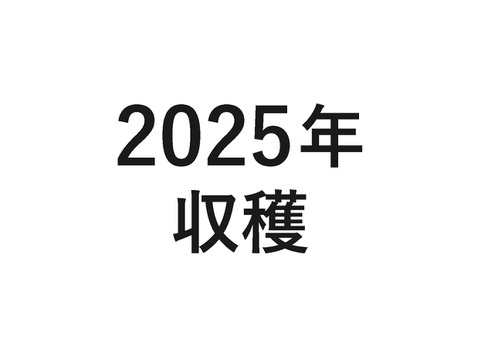 【屋久島産】在来種にんにく（選別バラ100g）