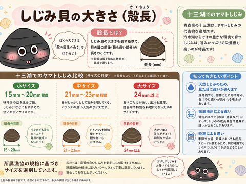 食べチョク登録記念！
冷凍品『とれたて新鮮しじみをすばやく冷凍』十三湖産大和しじみ（砂抜き済み）　中サイズ500ｇ×4Ｐ