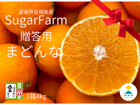 （贈答向け）シュガーファームのハウスまどんな4kg【冬ギフト】熨斗対応◎