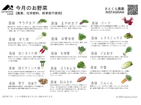 春夏秋冬、山から届くシェフの育てた野菜セット