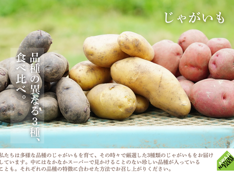 【淡路島産】冬ギフト_旬の冬野菜セット！ 6~7種詰め合わせ