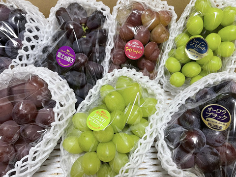 ☆ぶどう好きにオススメ☆ たっぷり6品種をお届け 岡山県産ぶどうおまかせ6種食べ比べ
