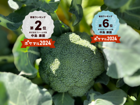 旬の贅沢野菜セット❗️【フラガールミニトマト×スジナインスナップ×ブロッコリー】Sサイズ