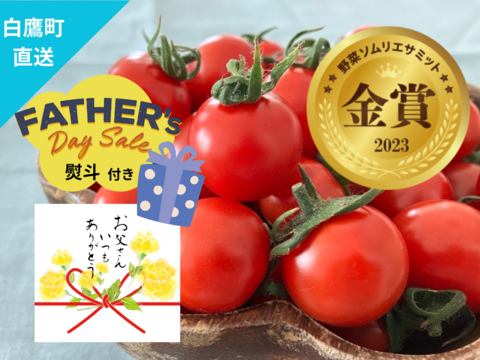 【父の日ギフト】金賞フルーツトマト『アマティ』1kg（250gx4p）