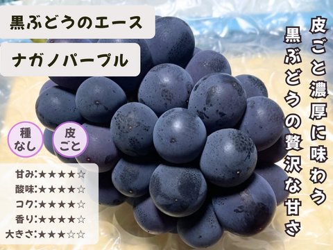 お盆シーズンにお届け可能　シャインマスカット入り　『岡山県産ぶどう』　おまかせ3種食べ比べセット　1.5キロ以上