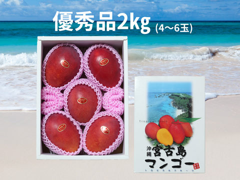 【優秀品2箱買い】宮古島産完熟マンゴー2㎏(4～6玉)×2箱
